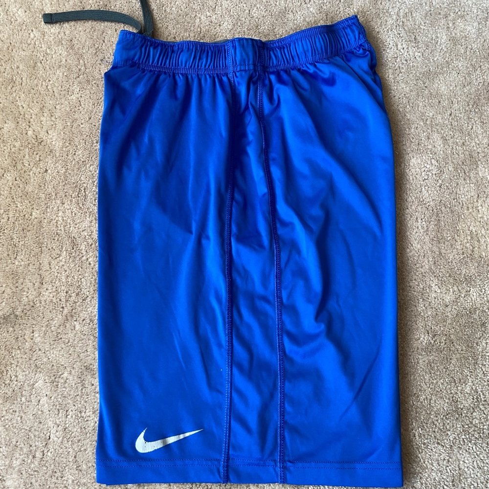 Nike Dri-Fit Shorts (M)
